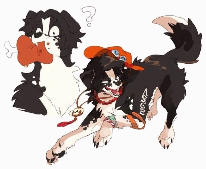 Portgas D Ace  thumbnail