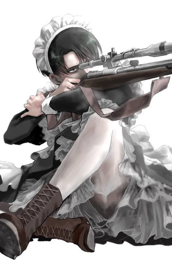 Levi-maid thumbnail