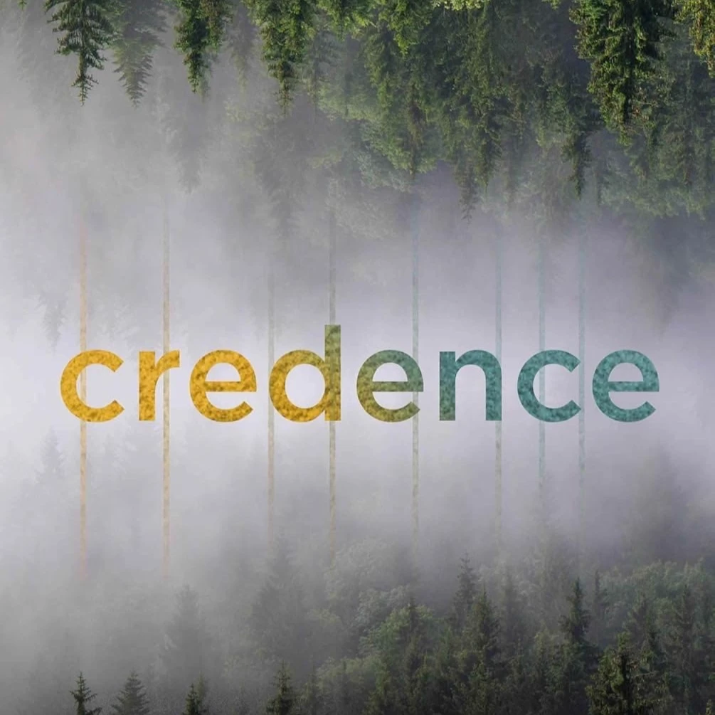 Credence by Penelope Douglas  thumbnail
