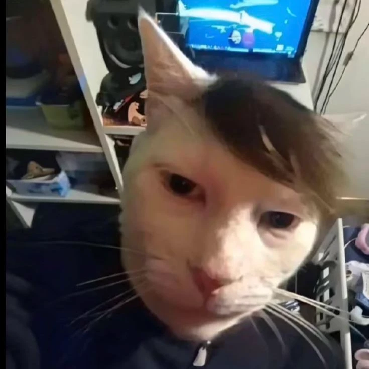 Cat thumbnail