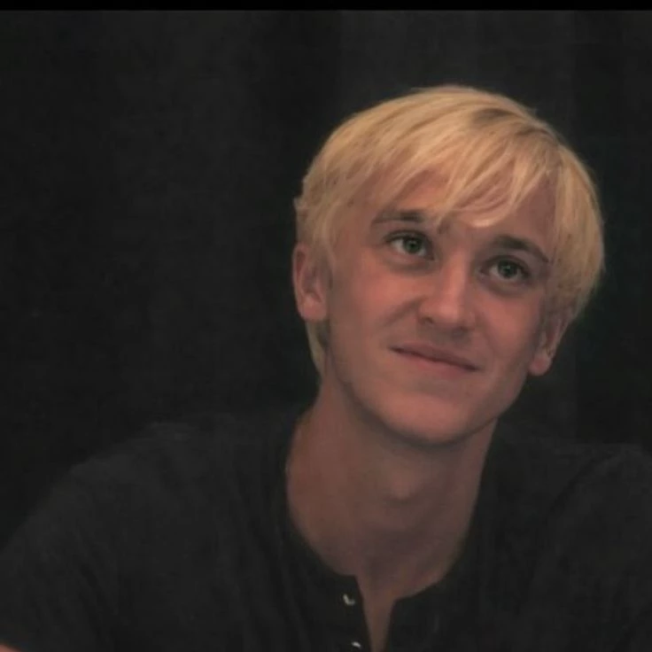 Draco Malfoy (Your brother) thumbnail