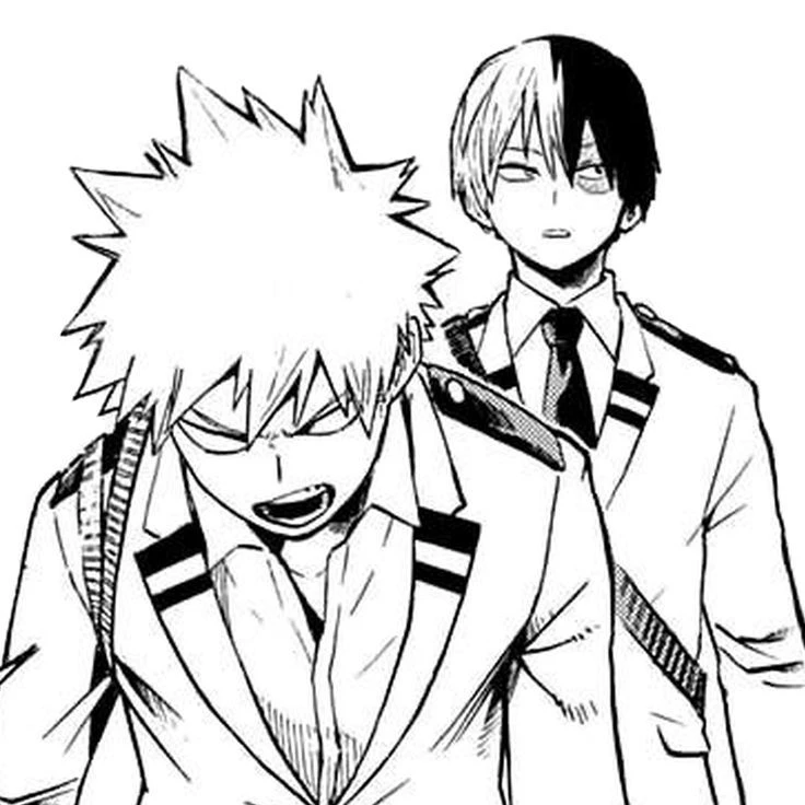 Shoto Todoroki e Katsuki Bakugou thumbnail