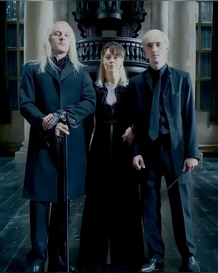 Draco Malfoy ❤️‍🔥 thumbnail