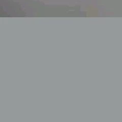 ......