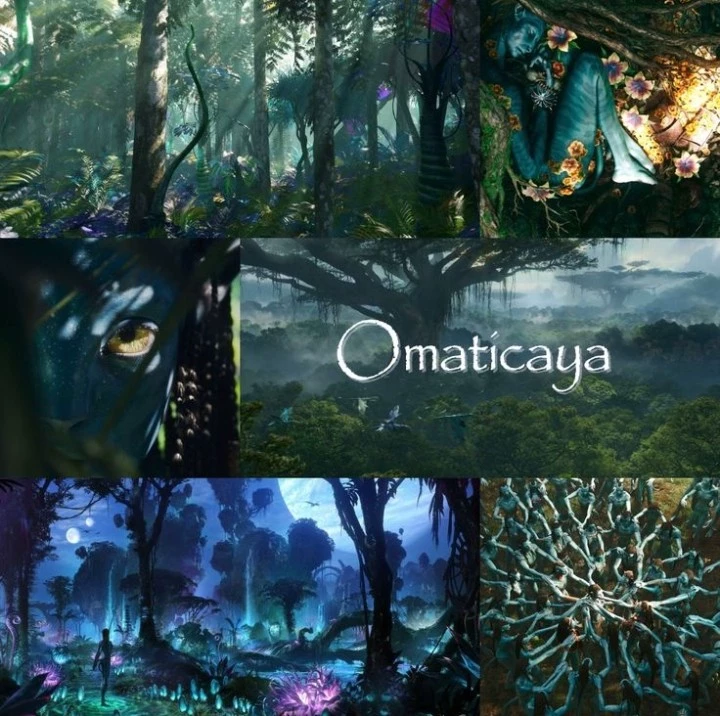 Omatikaya life💙🌎 thumbnail