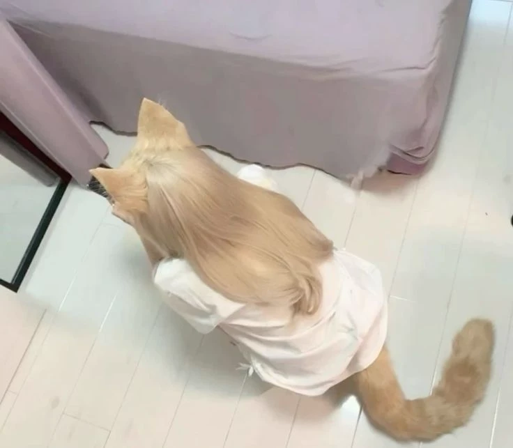 Cat Shifter - Meiso thumbnail