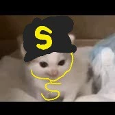 Kevin da cat from da hood