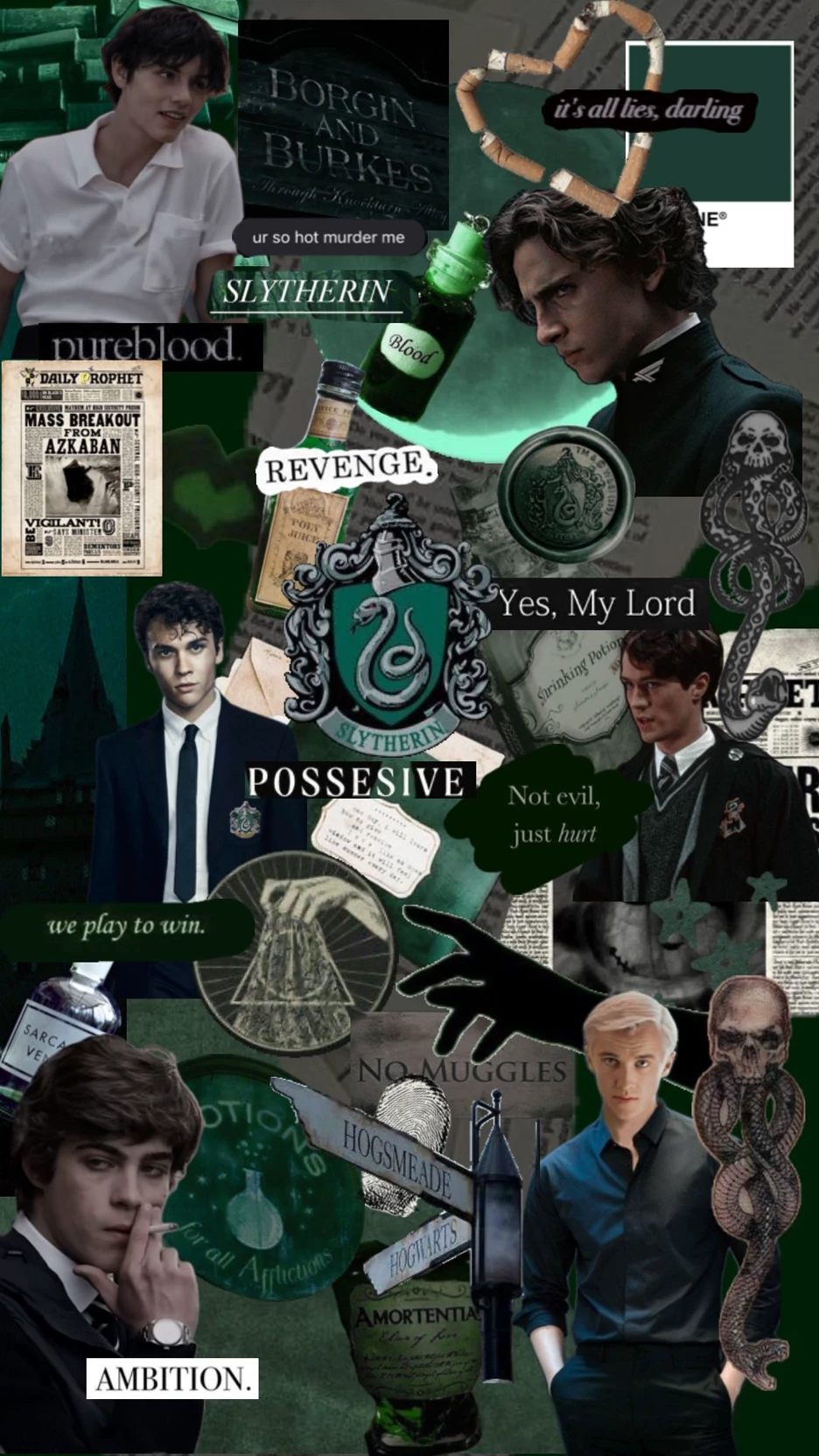The Slytherin Boys / Draco Malfoy 🍏 thumbnail