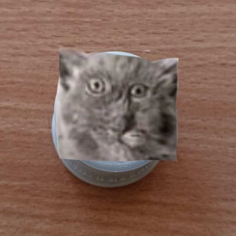 Sylvana thumbnail