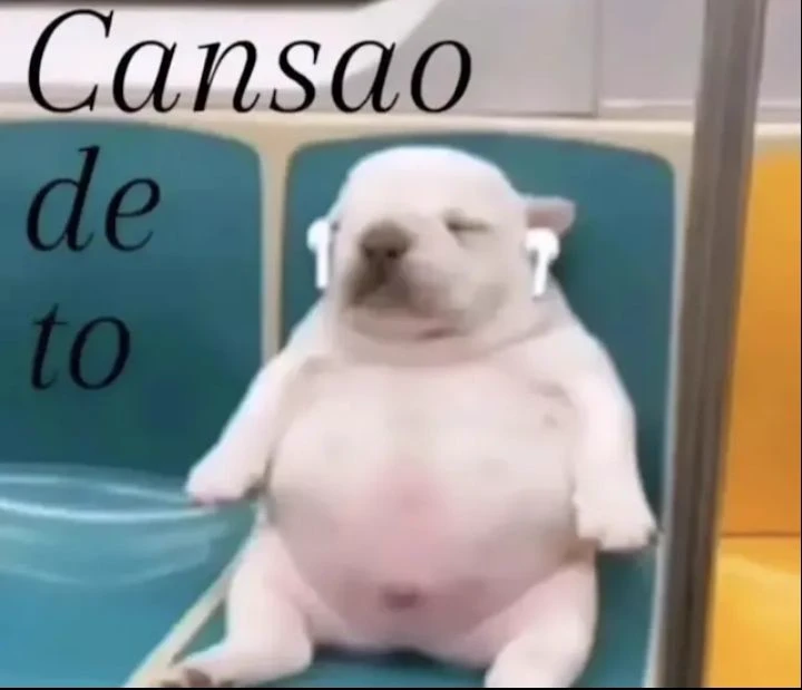 pibble thumbnail