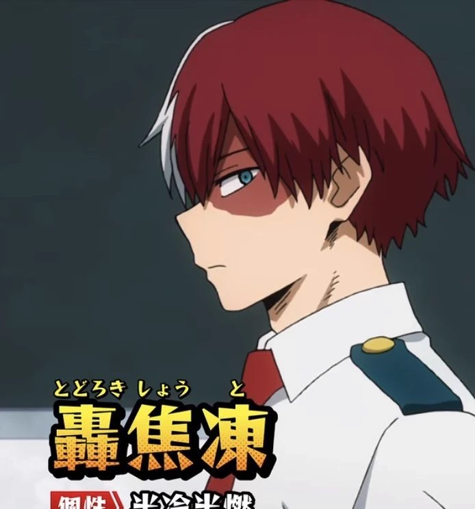 Shoto Todoroki✨ ♥ thumbnail