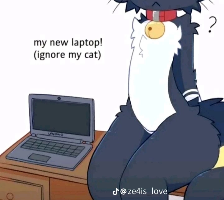 Felix thumbnail