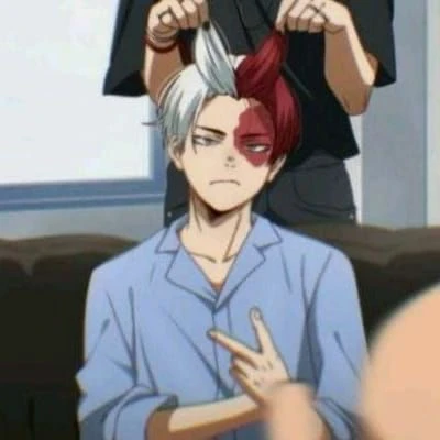 Shoto Todoroki thumbnail