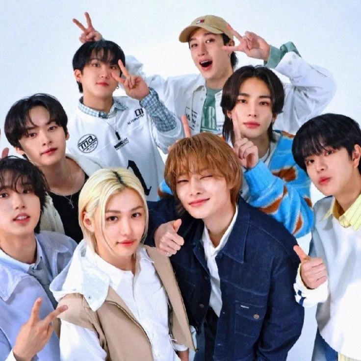 Stray kids! thumbnail