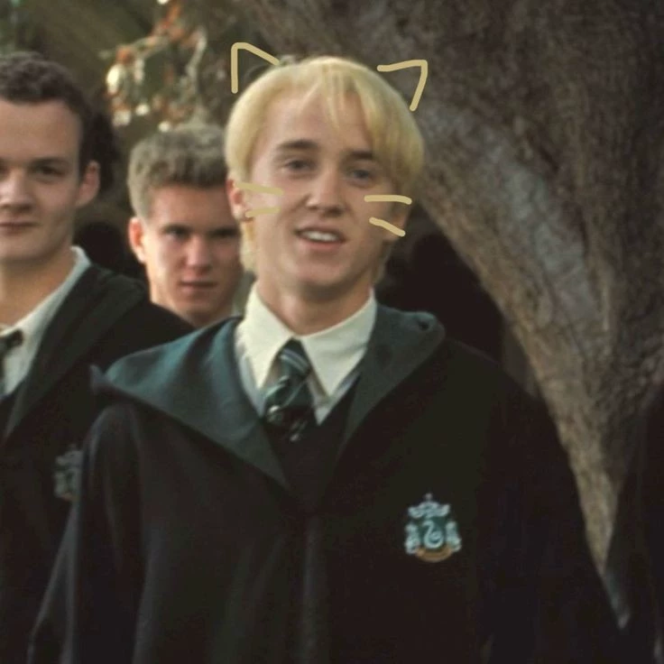 draco thumbnail