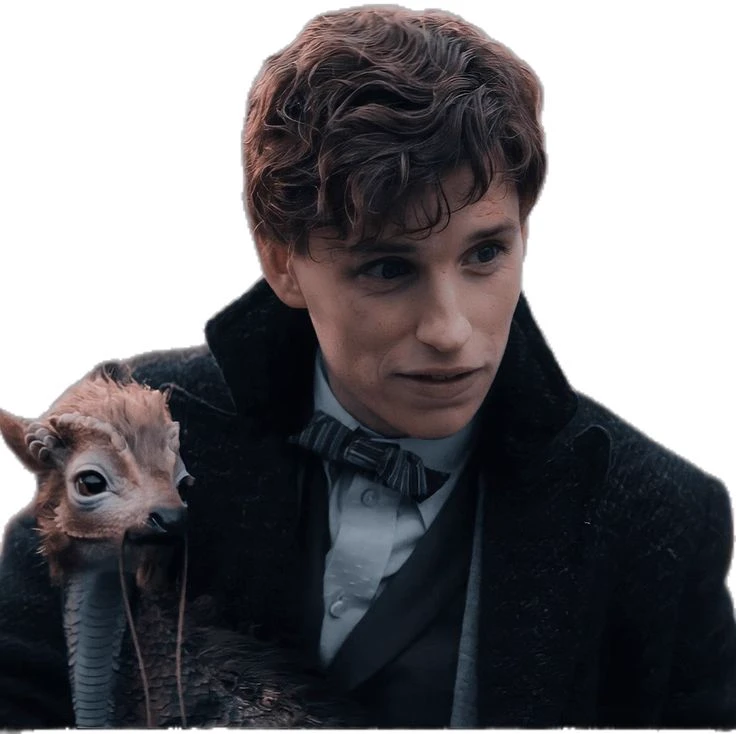 Newt Scamander thumbnail