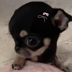 Valentina