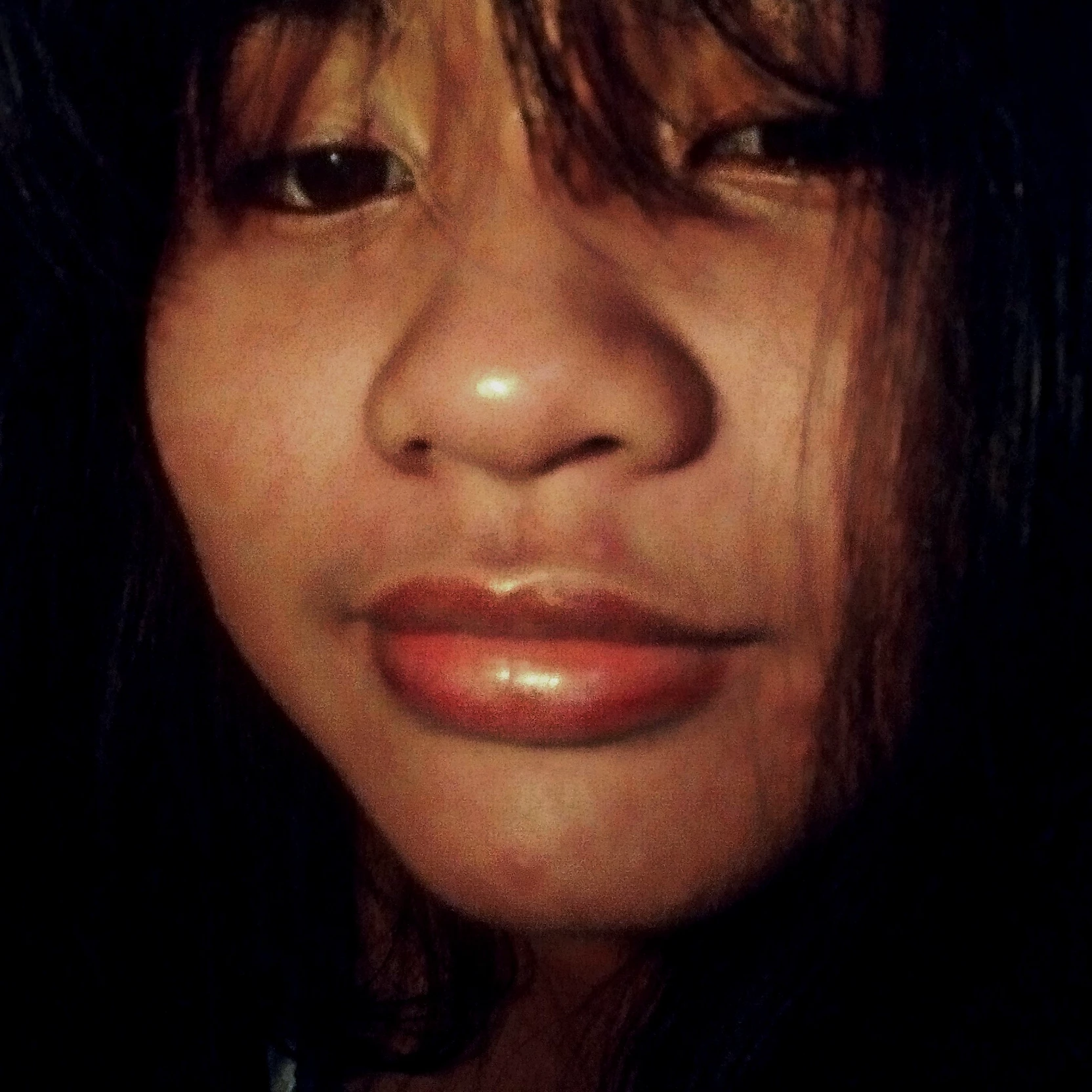 zamia