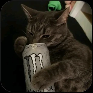 Put a name like idk kitty thumbnail
