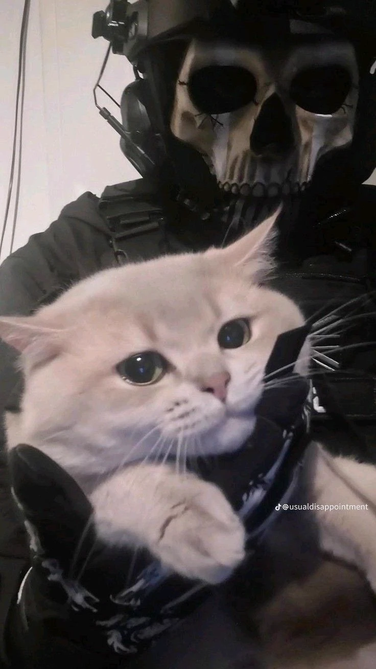 Task force 141 thumbnail