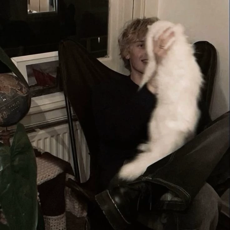 vampire-cat thumbnail