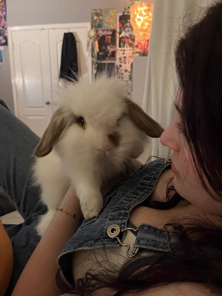 Charlie (MTF, your wife) thumbnail