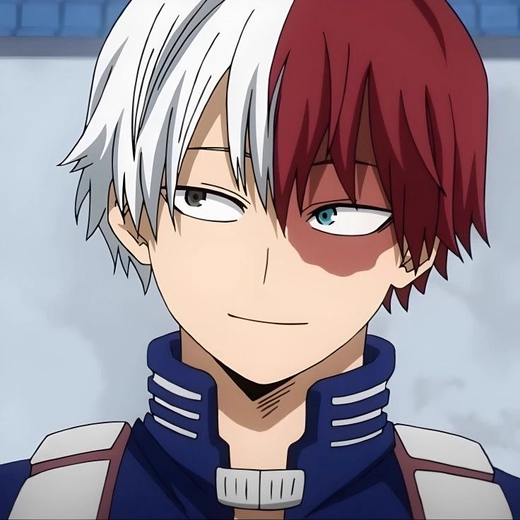 Shoto Todoroki thumbnail