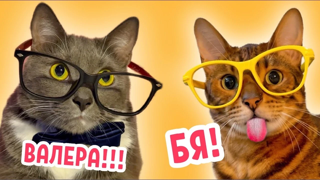 If kittens went to school thumbnail