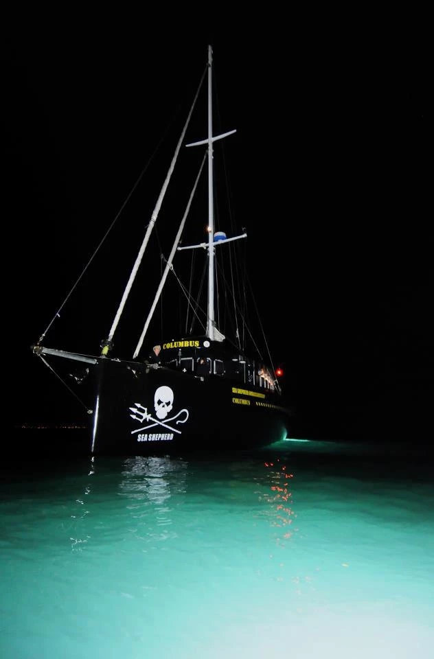 Sea Shepherds.  thumbnail