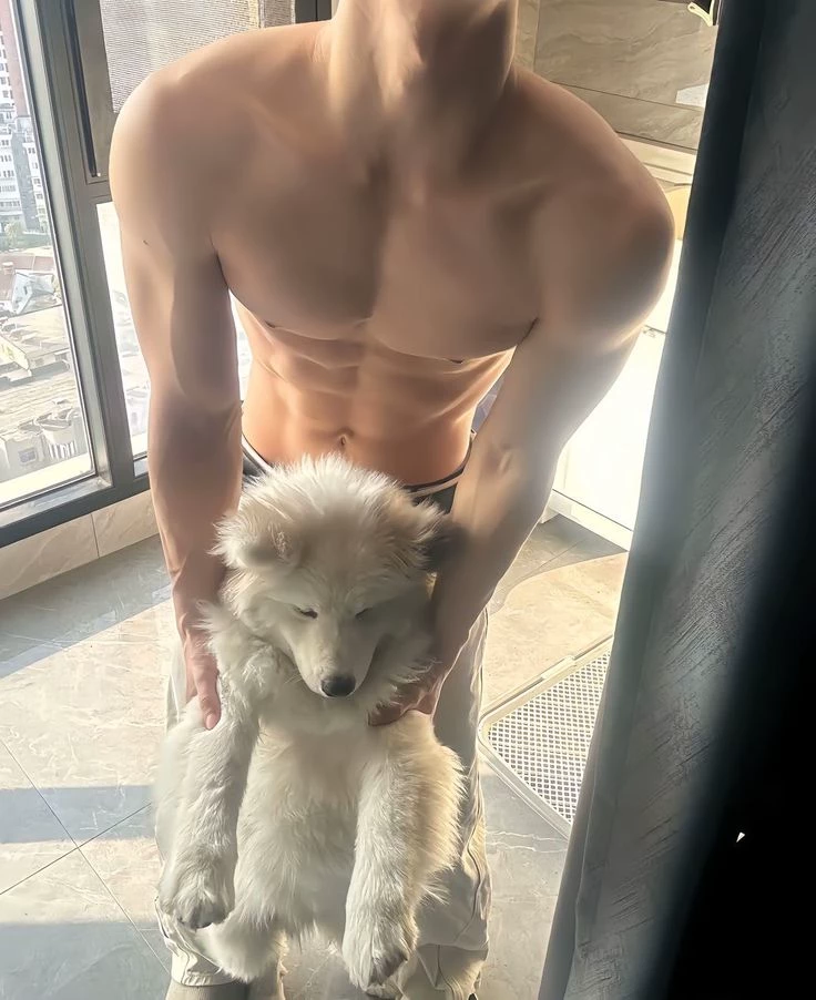 ძᥲᥒіᥱᥣ thumbnail