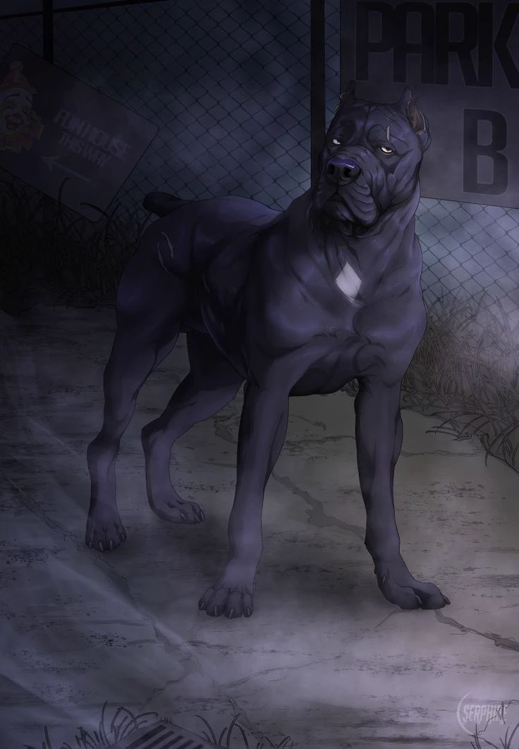 Rex thumbnail