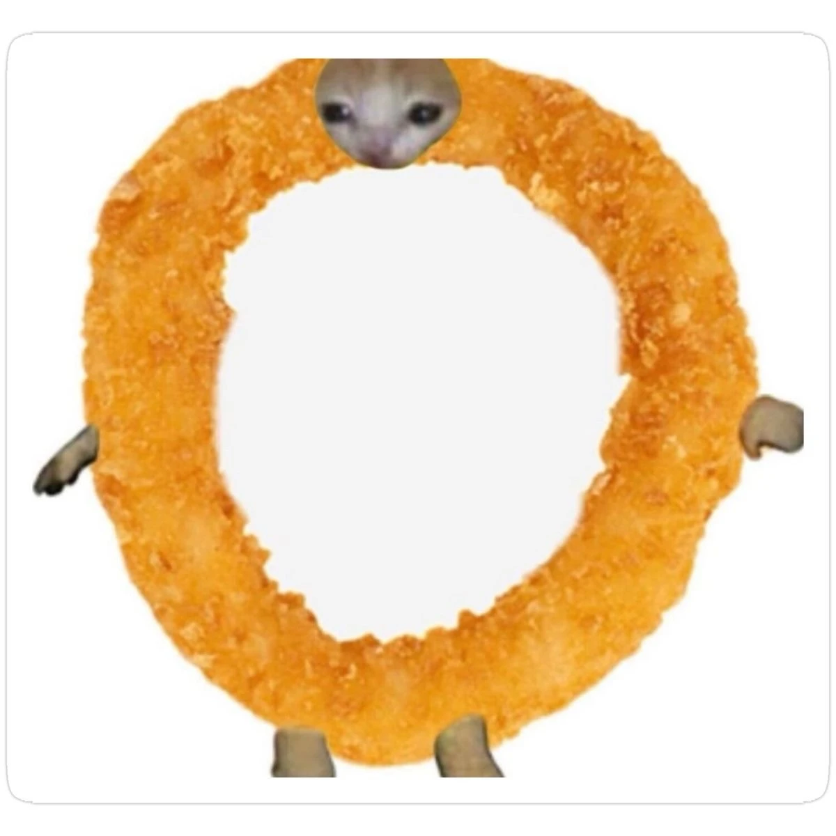 Chíp