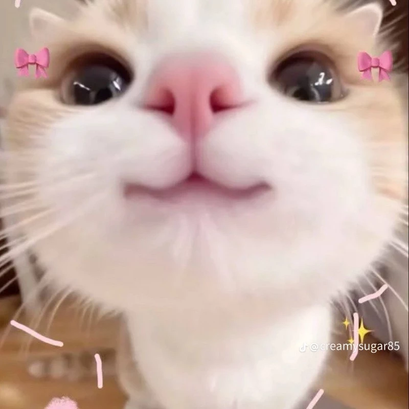 ซูซู
