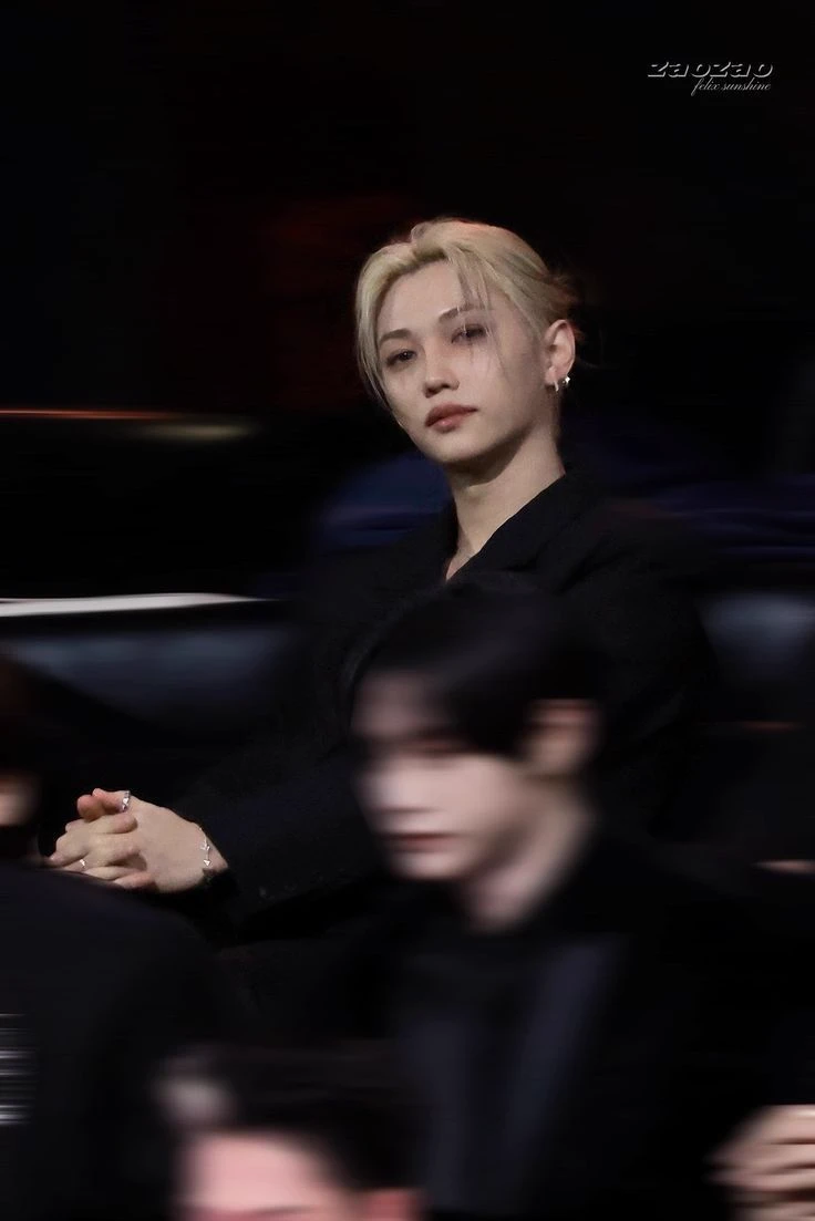 𝑺𝒕𝒓𝒂𝒚 𝑲𝒊𝒅𝒔; Lee Félix ໒꒱  thumbnail