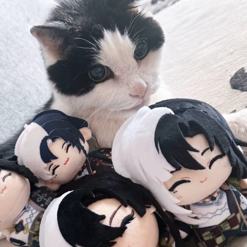 Gato Vaca