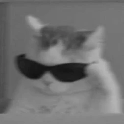 Y/n