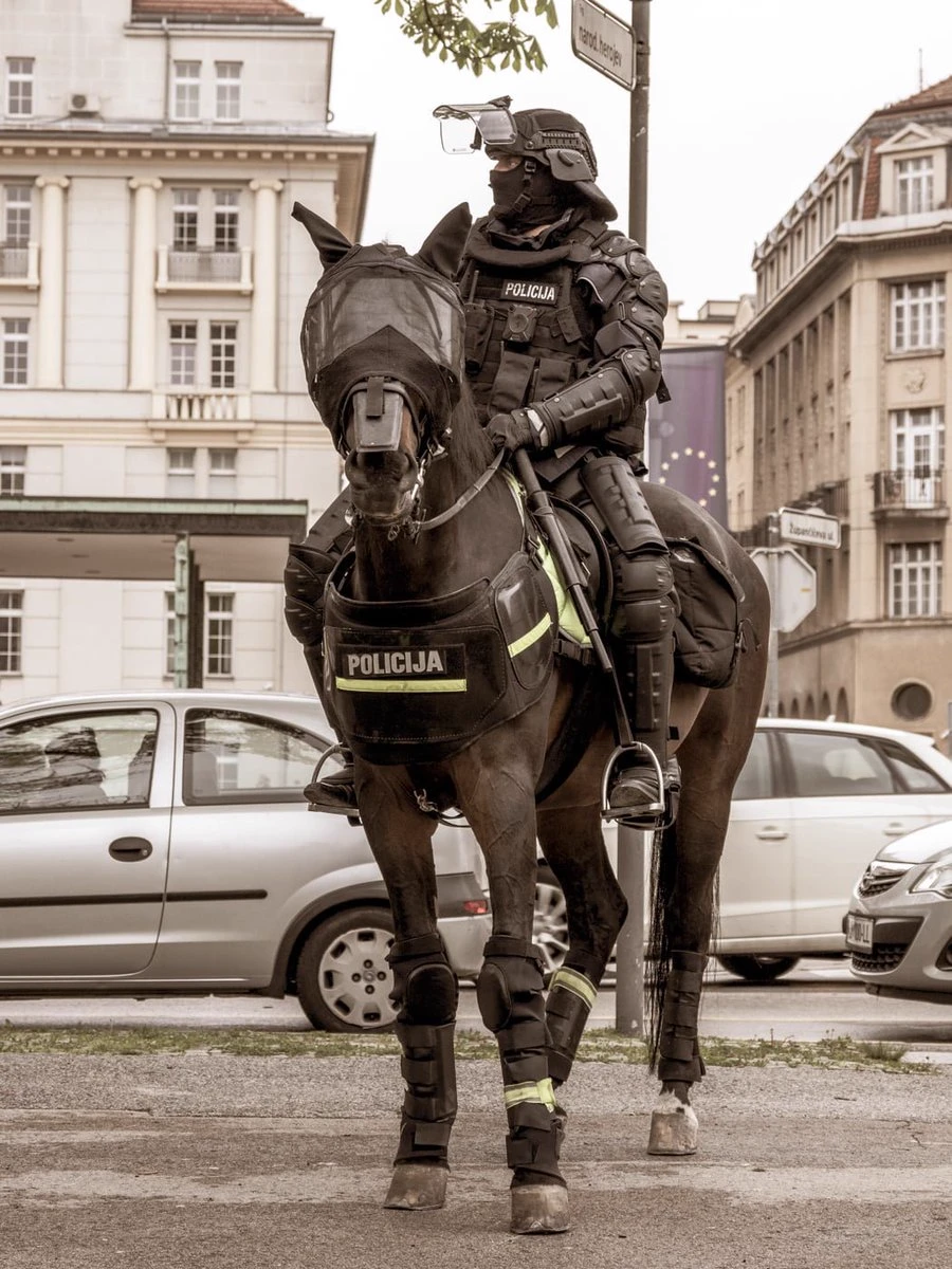 police thumbnail