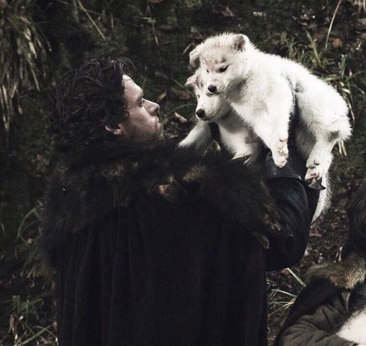 Robb Stark thumbnail