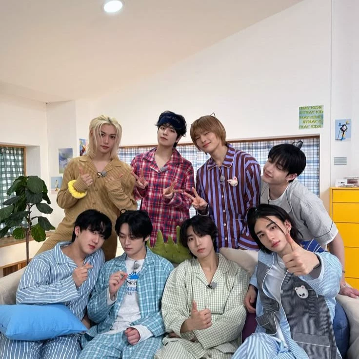 Stray Kids' new member! thumbnail