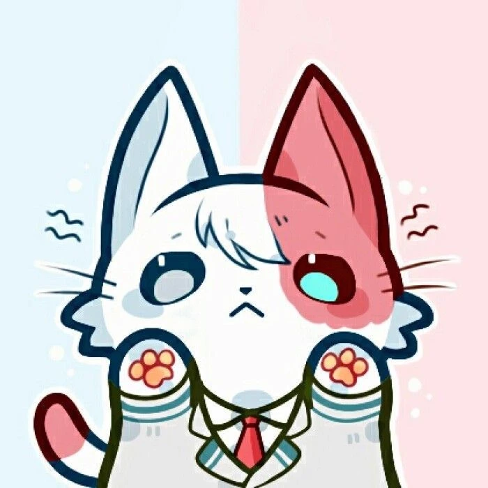 Shoto turned into a cat! thumbnail