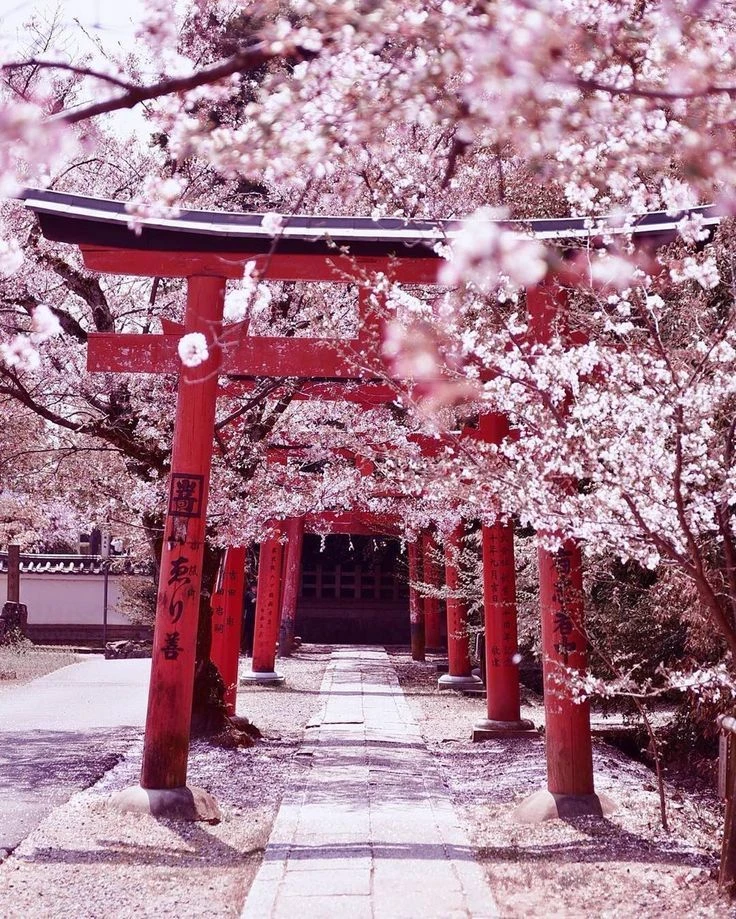Japan thumbnail