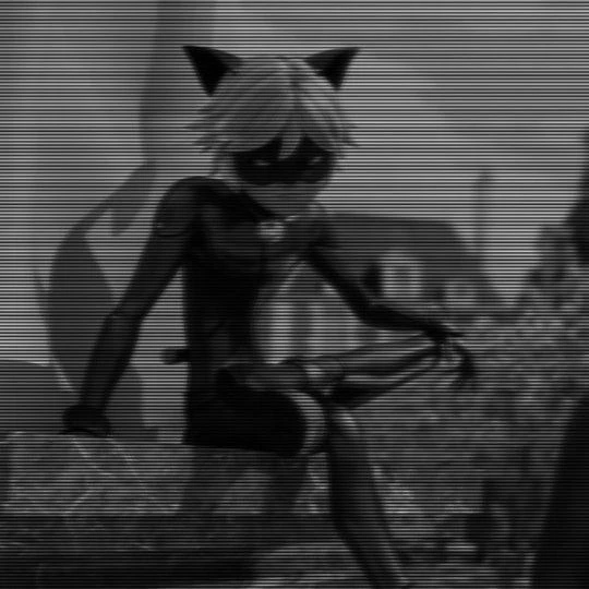 Miraculous, a black cat thumbnail