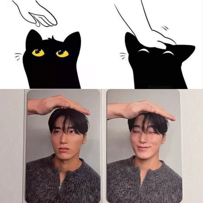 Choi San (my guardian cat) thumbnail