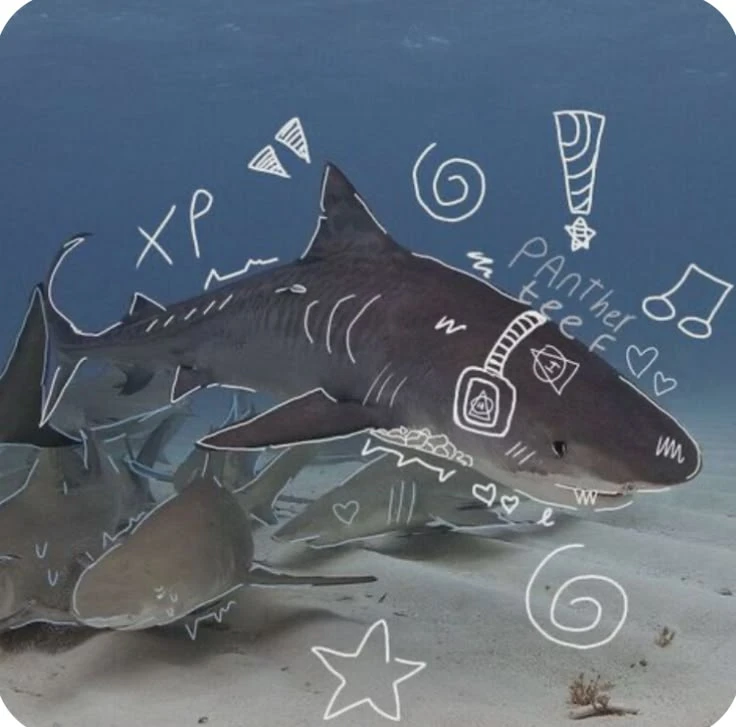 ✬┆shark┆✬ thumbnail