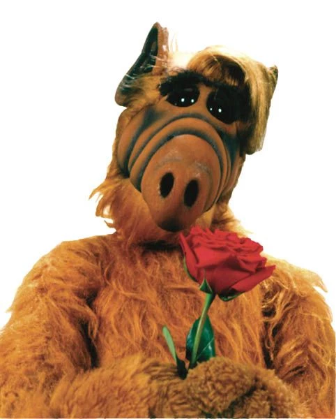 Alf thumbnail