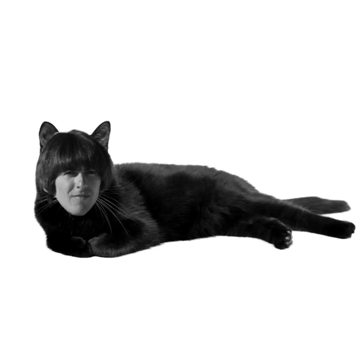 Kitty George! thumbnail