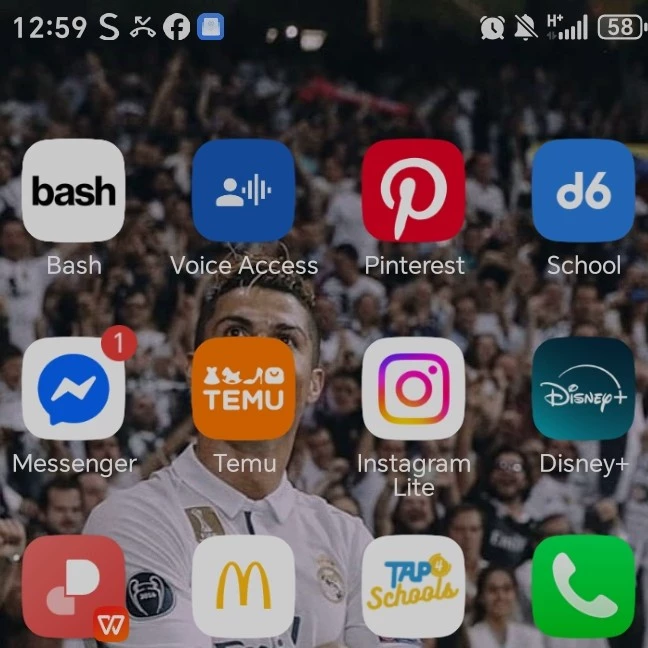 Mason