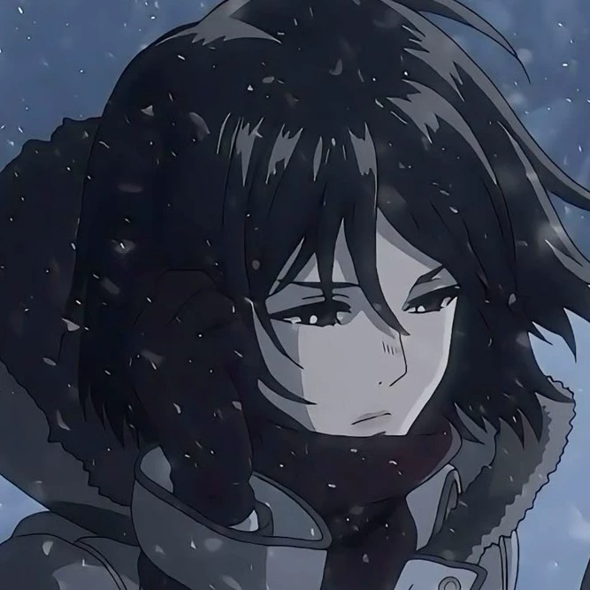 Mikasa 