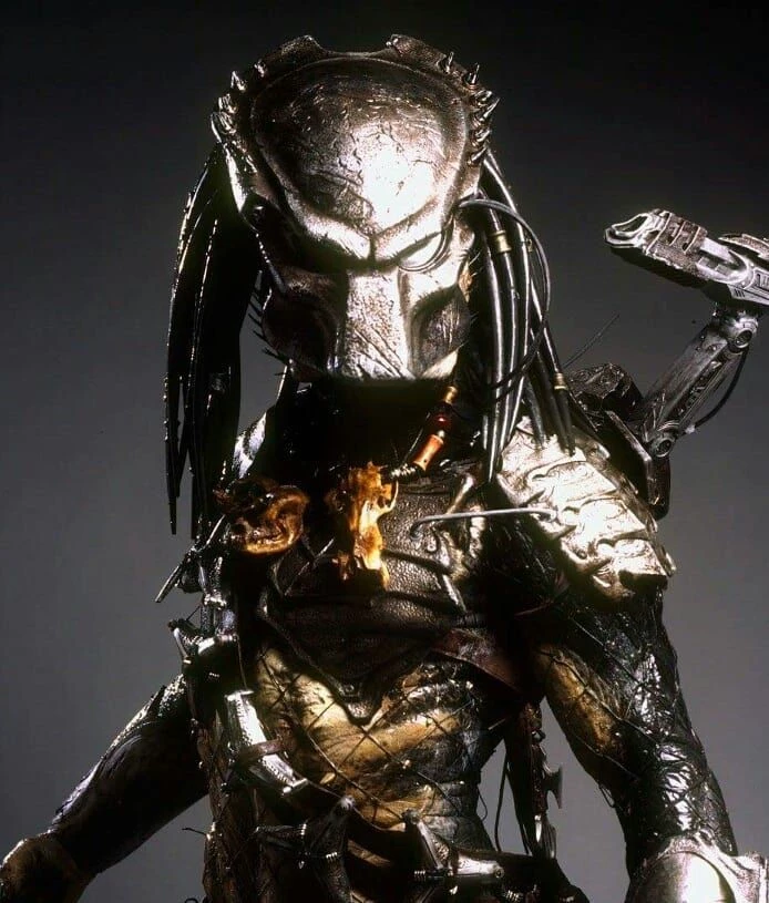 Wolf Predator thumbnail