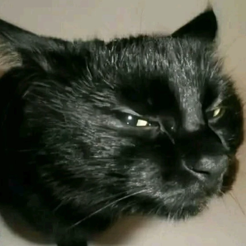 Zie